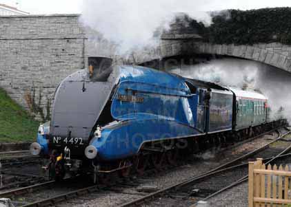 Purchase photo of 4492 DOMINION OF NEW ZEALAND (BITTERN) at Swanage Railway